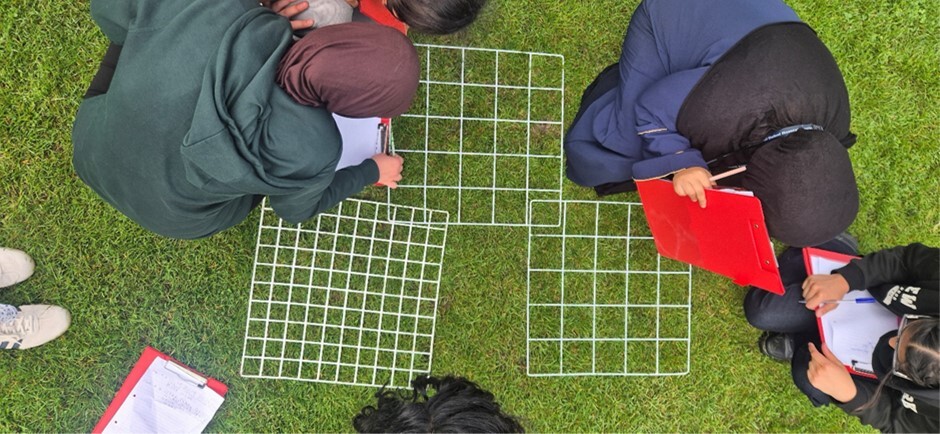 Y12 fieldwork